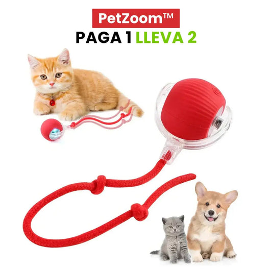 PetZoom: 2X1 en Pelota interactiva para gatos y perros